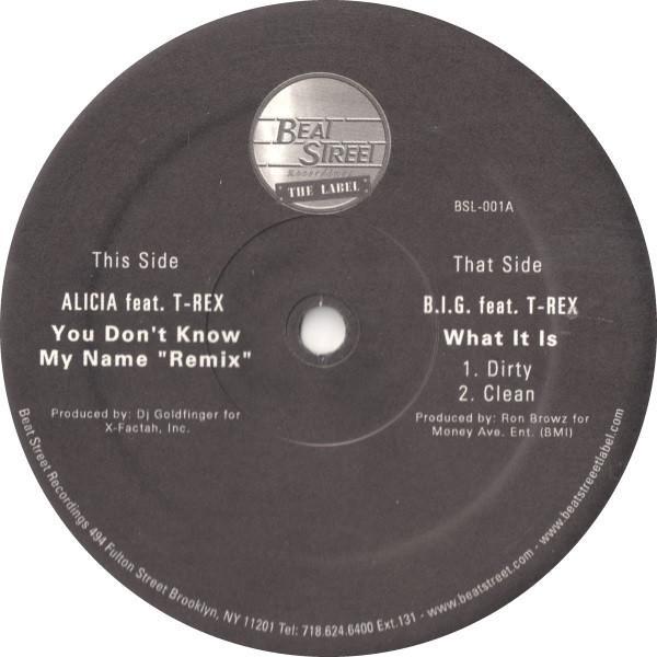 Alicia Keys, T-Rex , Notorious B.I.G. - You Don't Know My Name "Remix" / What It Is