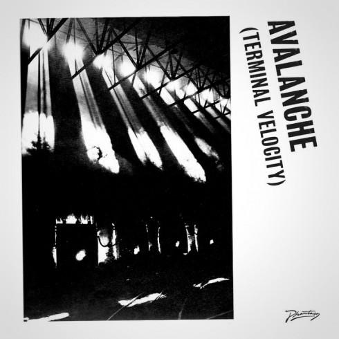 Boys Noize, Erol Alkan, Jarvis Cocker - Avalanche (Terminal Velocity)