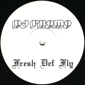 DJ Promo  - Freaky / Fresh Def Fly