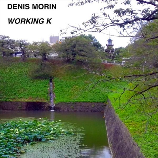 Denis Morin - Working K