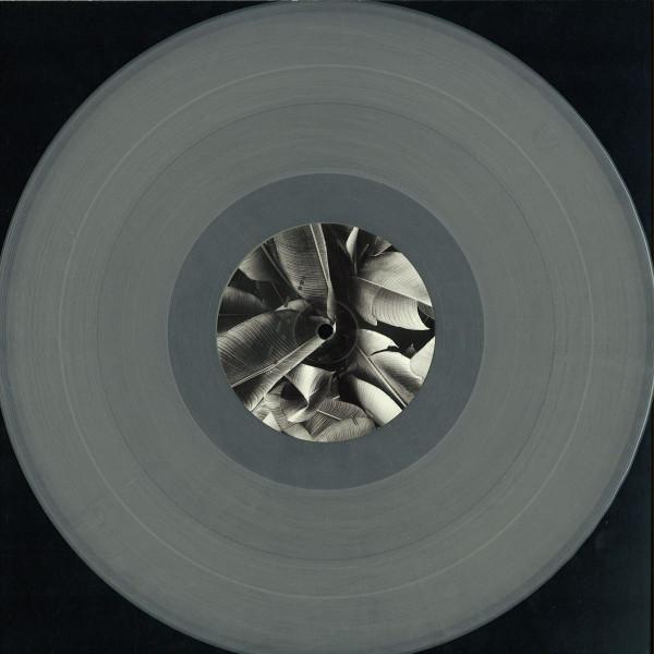 Disrupted Project - Growth EP