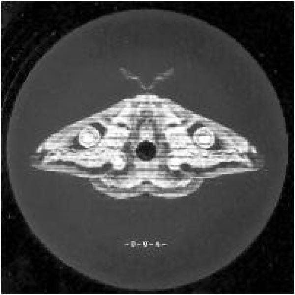 Martyn Hare - Emetic IV