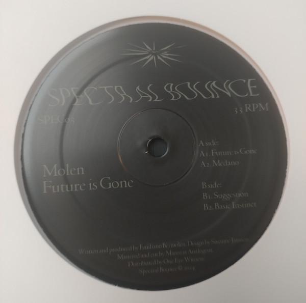 Molen - Future is Gone