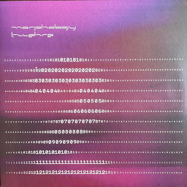 Morphology - Twelve 2