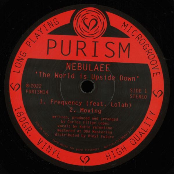 Nebulaee - The World is Upside Down