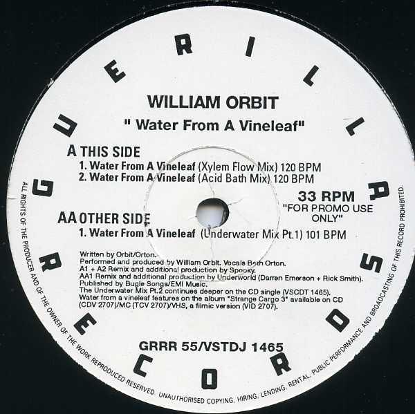 William Orbit - Water From A Vine Leaf
